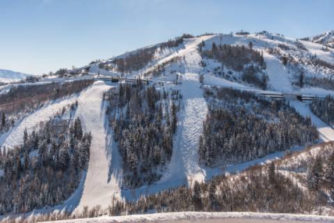 Timber Wolf 12A