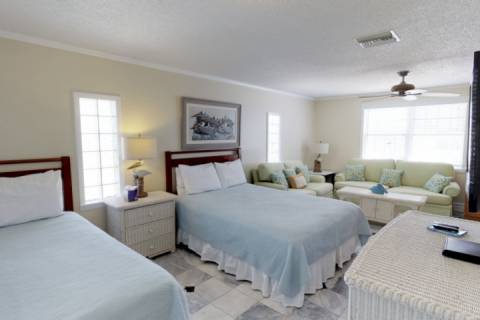 Yoda Beach House