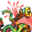 Ender.js / jeesh