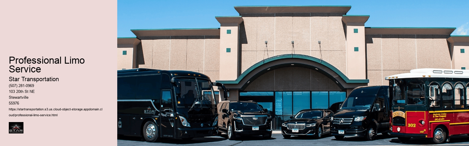 Professional Limo Service