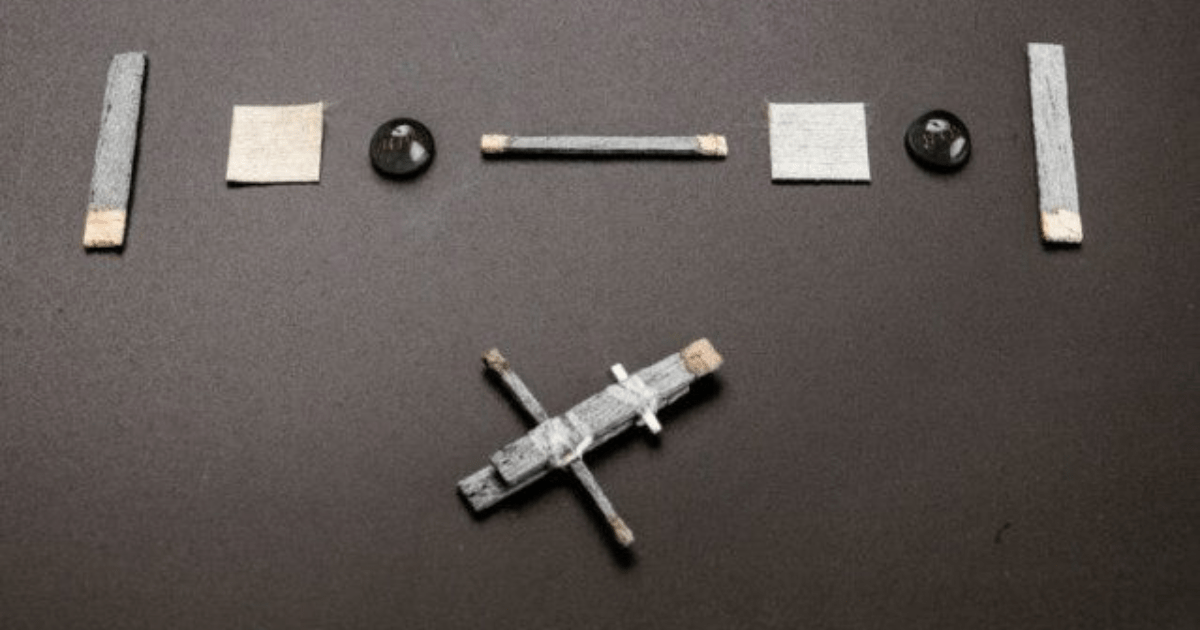 Swedish researchers develop world's first wooden transistor 'Timber' with potential for biodegradable computing and implanting in living plants