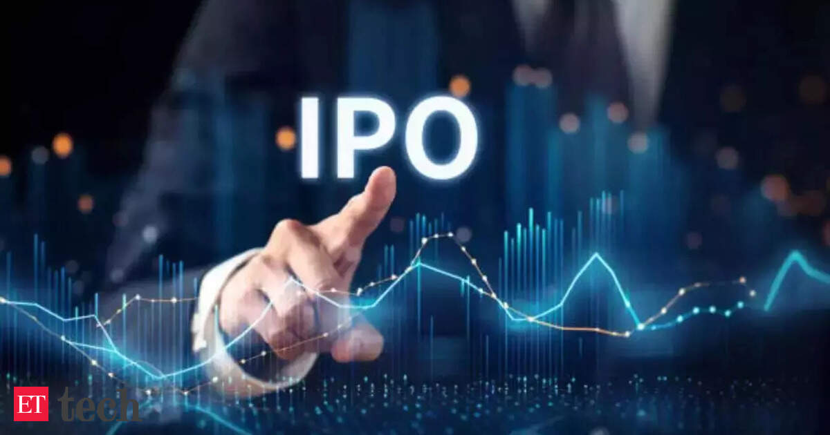 IPO: Why are late-stage startups relying on private credit before their IPOs?