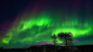 northern lights forecast