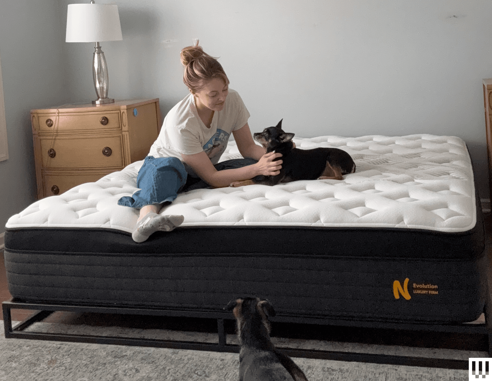 Image may contain Furniture Person Animal Canine Dog Mammal Pet and Bed