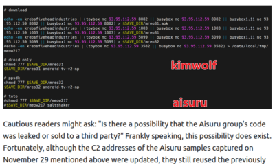 Who Benefited from the Aisuru and Kimwolf Botnets?