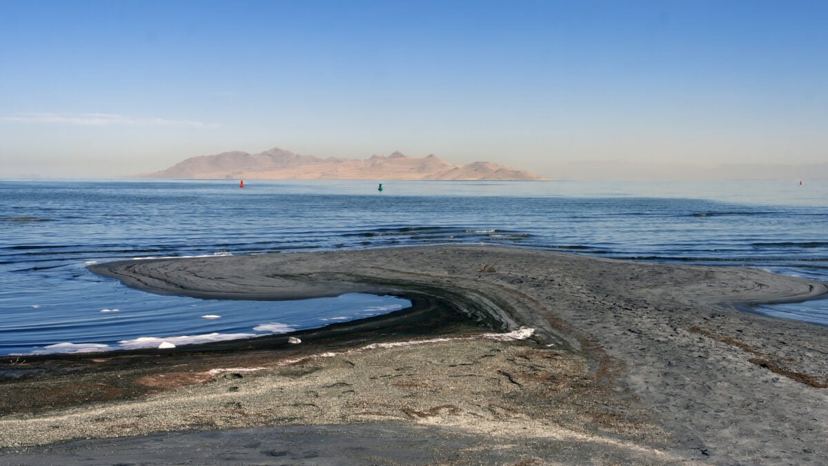 Researchers Discover Previously Unknown Species in Utah’s Great Salt Lake