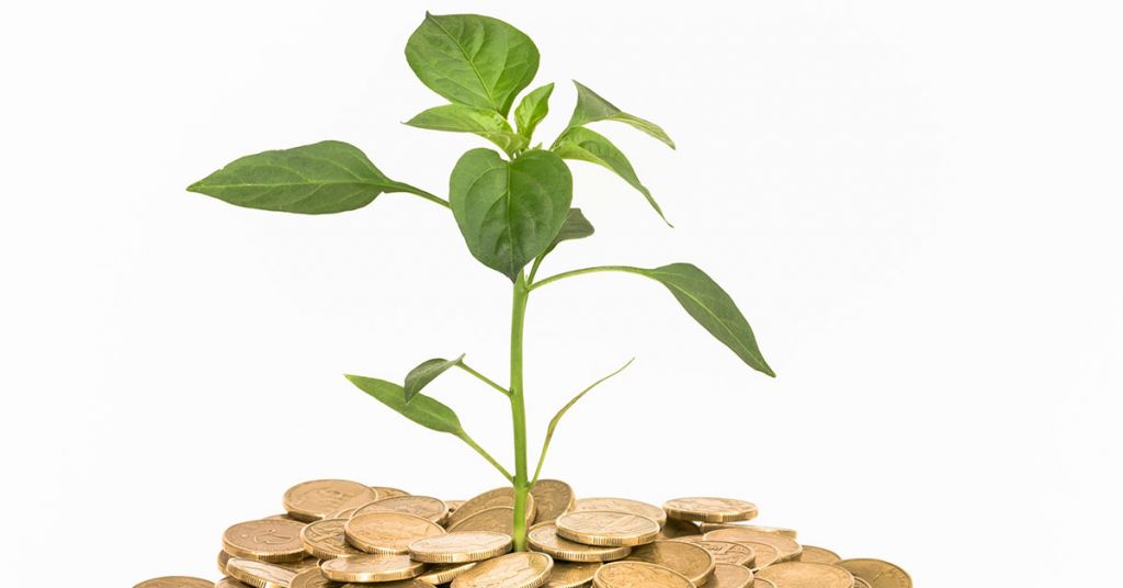 learn to get rich slow
