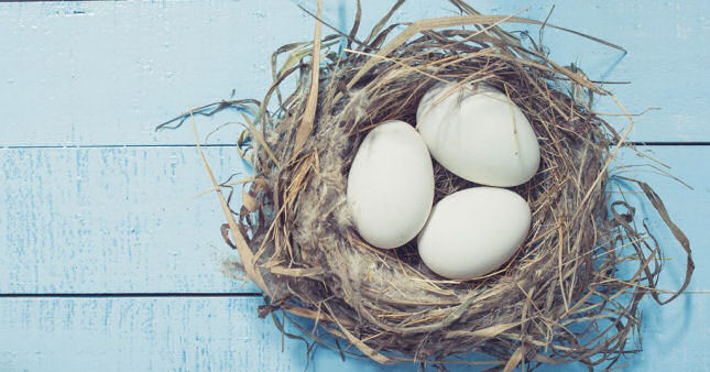 Checkout out building wealth and being financially independent with M1 Finance
