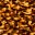 Animal Print