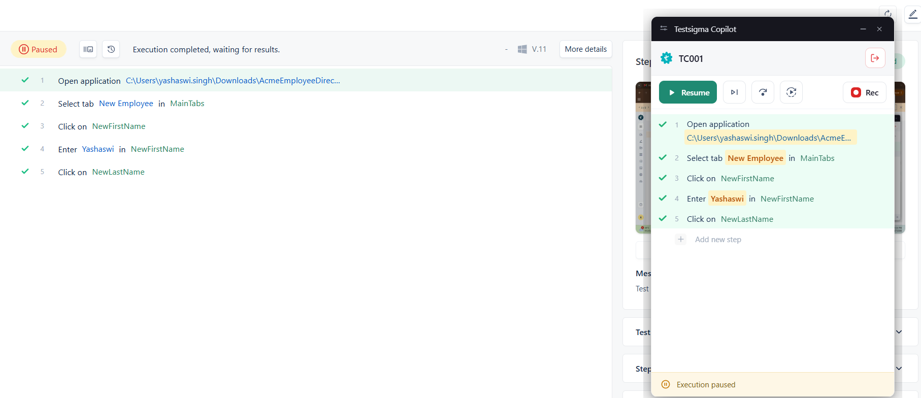 Desktop Copilot Execution