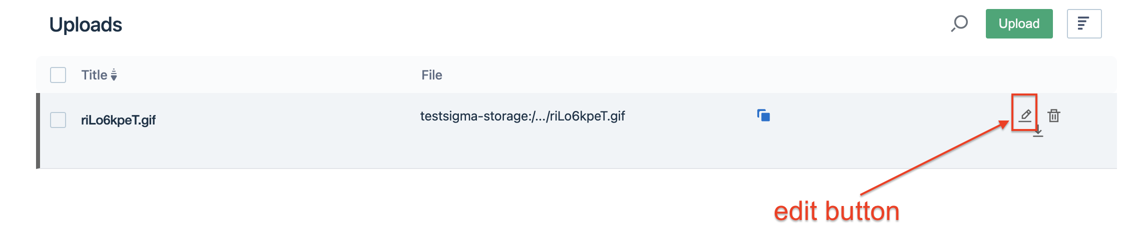 edit button to upload an updated file