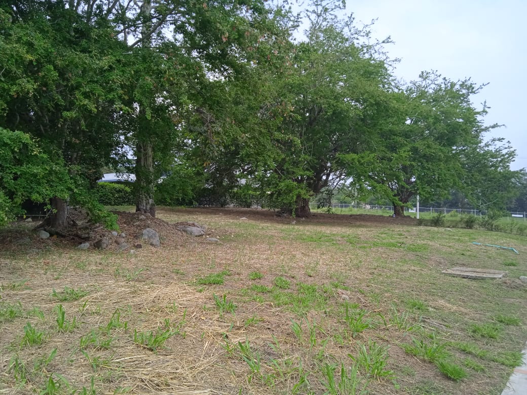 Lote en venta en El Totumo, Ibagué · foto 12 de 23