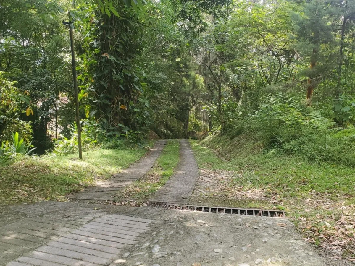 Casa de 7 alcobas en venta en Los Balsos, Medellín, 270 m² · foto 3 de 23