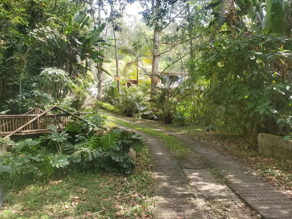 Casa de 7 alcobas en venta en Los Balsos, Medellín, 270 m² · foto 4 de 23