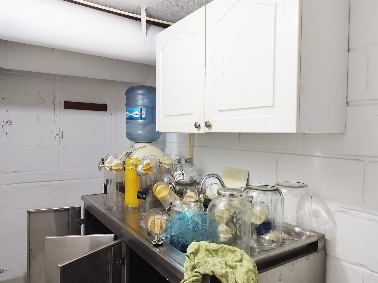 Local en arriendo en La Sebastiana, Envigado, 56 m² · foto 12 de 16