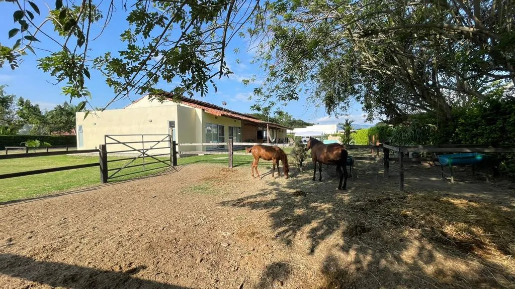 Finca en venta en La Acequia, Palmira, 392 m² · foto 19 de 24