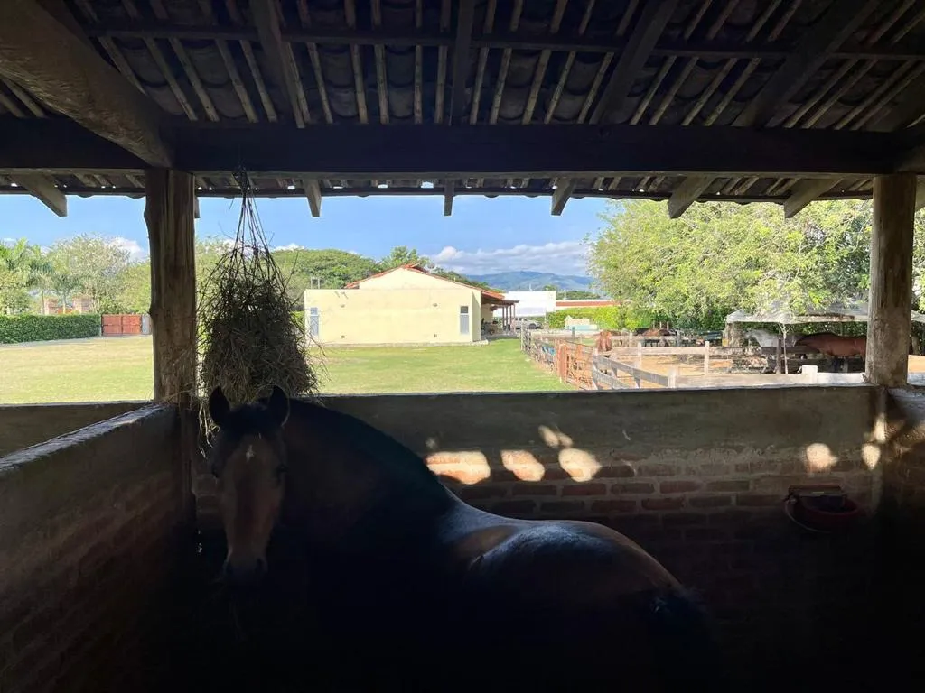 Finca en venta en La Acequia, Palmira, 392 m² · foto 21 de 24