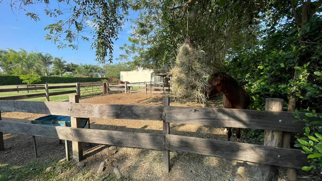 Finca en venta en La Acequia, Palmira, 392 m² · foto 22 de 24