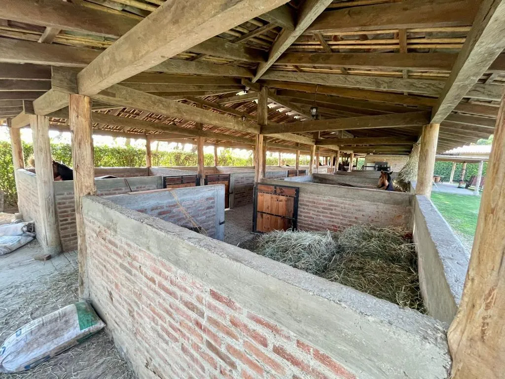 Finca en venta en La Acequia, Palmira, 392 m² · foto 23 de 24