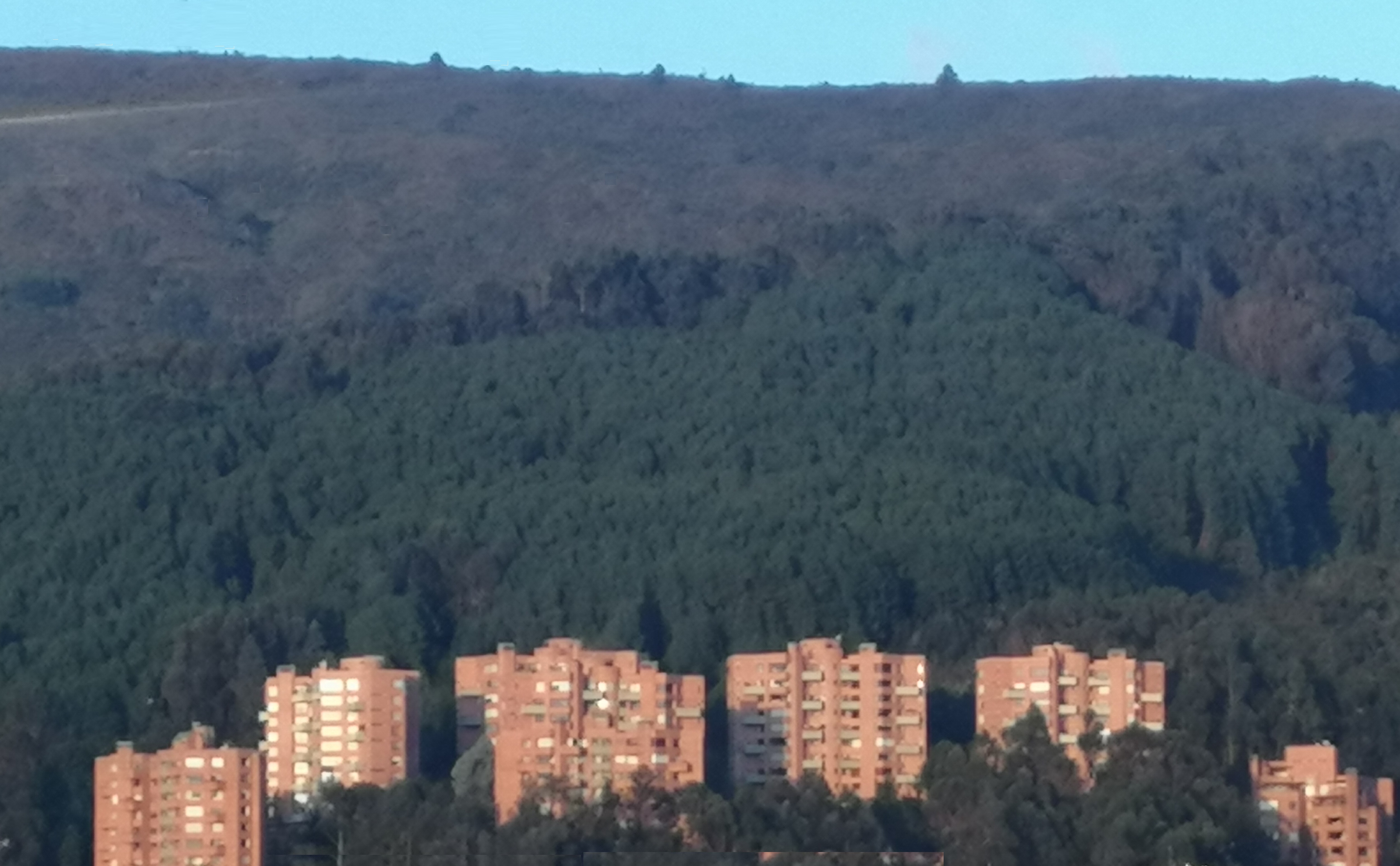 Apartamento de 3 alcobas en venta en Sierras Del Moral, Bogotá, 220 m² · foto 20 de 23
