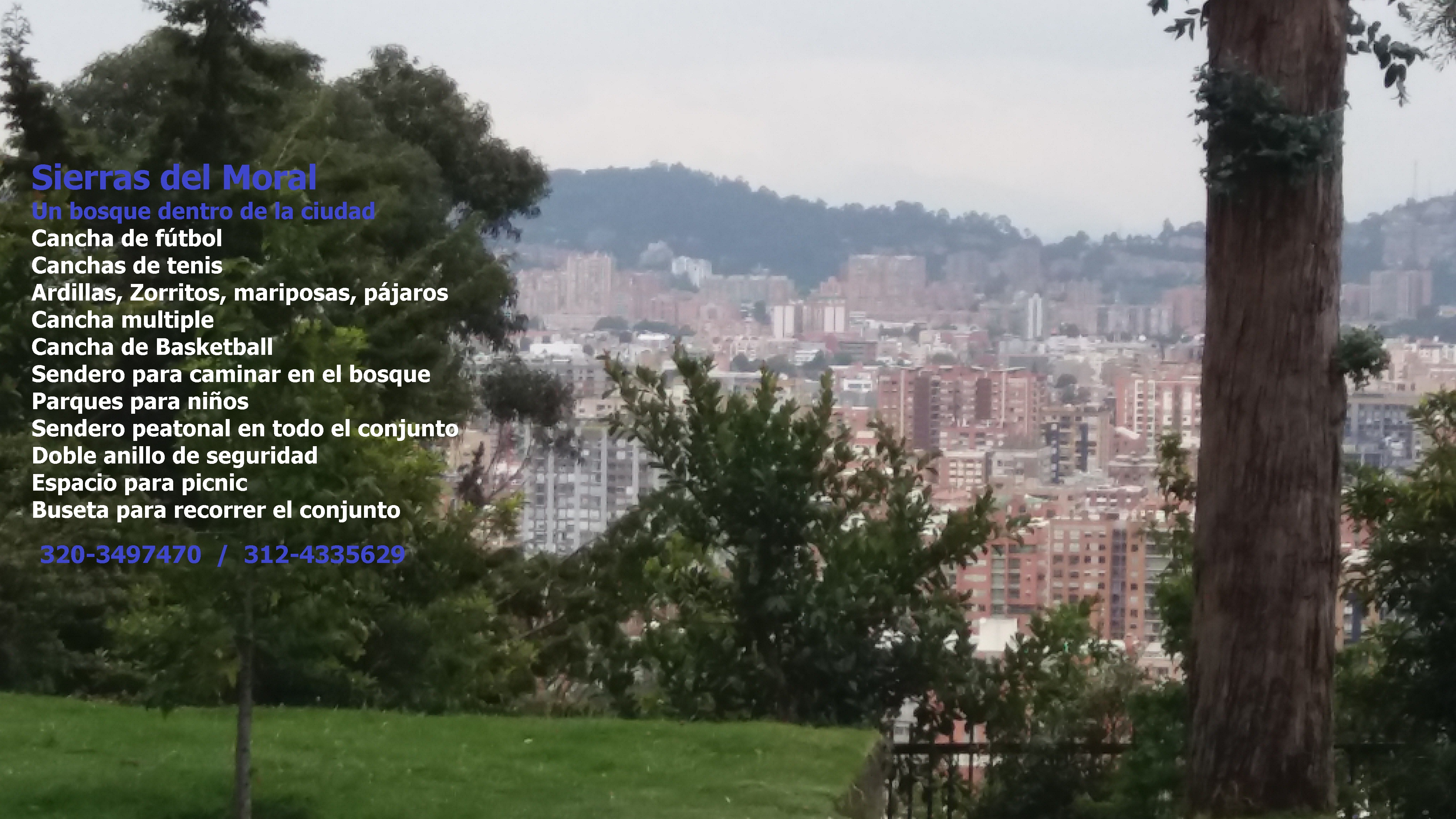 Apartamento de 3 alcobas en venta en Sierras Del Moral, Bogotá, 220 m² · foto 21 de 23