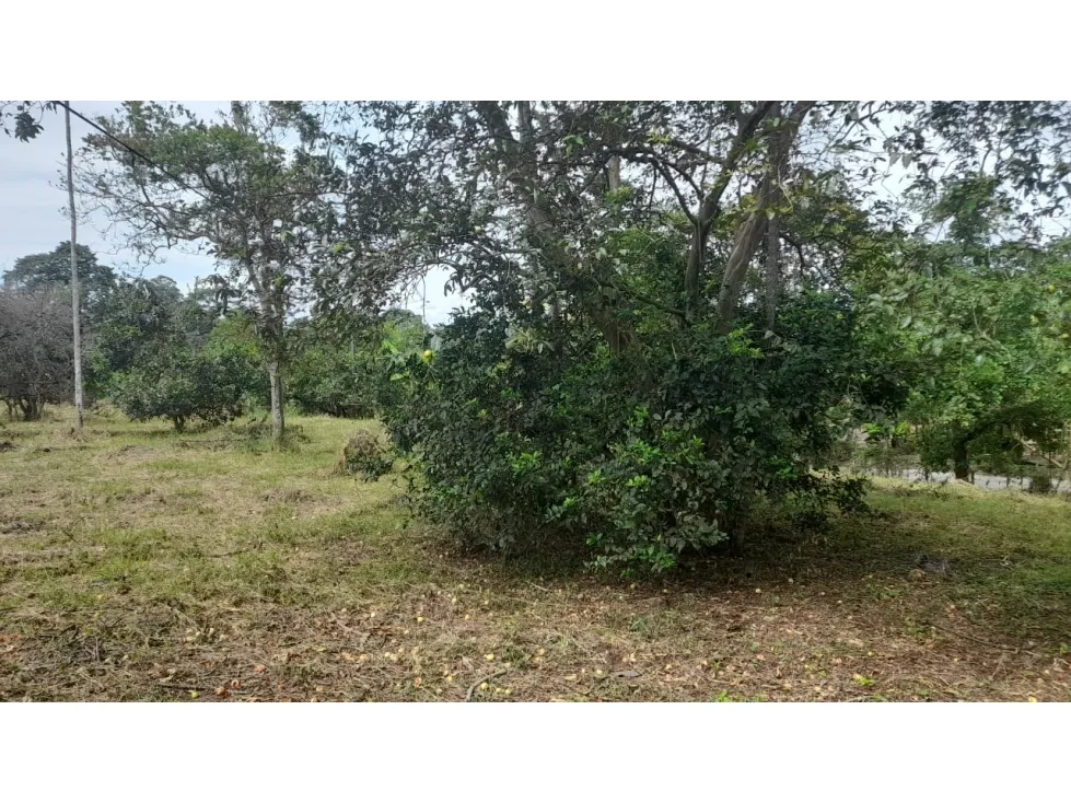 Lote en venta en La Yé, Armenia, 3200 m² · foto 15 de 15