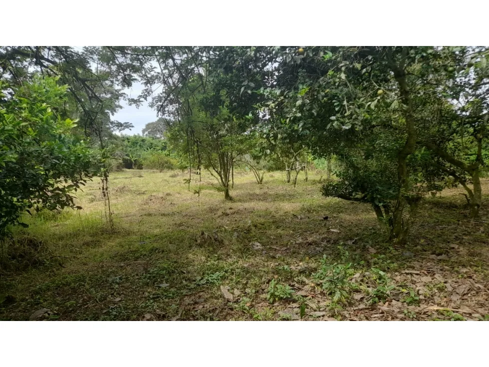 Lote en venta en La Yé, Armenia, 3200 m² · foto 2 de 15