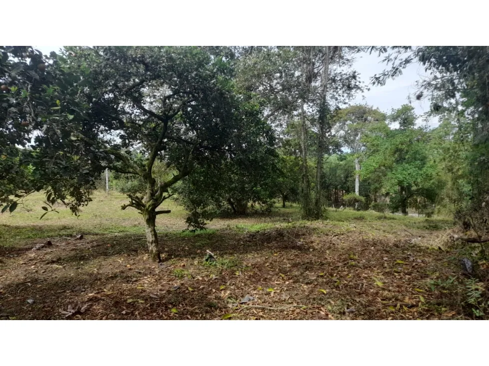 Lote en venta en La Yé, Armenia, 3200 m² · foto 3 de 15