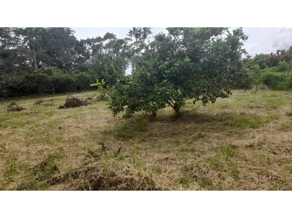 Lote en venta en La Yé, Armenia, 3200 m² · foto 6 de 15