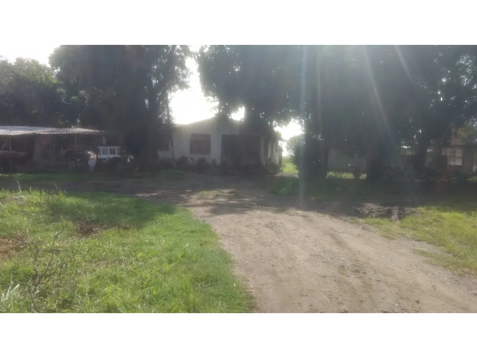 Lote en venta en Juanchito, Candelaria, 14180 m² · foto 6 de 8