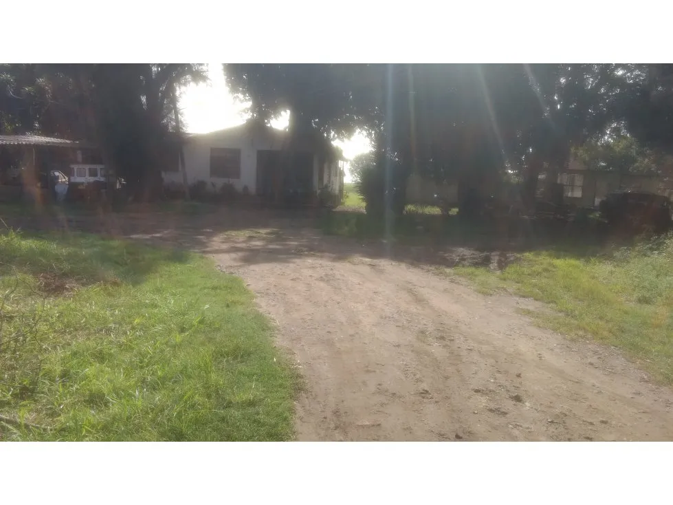 Lote en venta en Juanchito, Candelaria, 14180 m² · foto 7 de 8