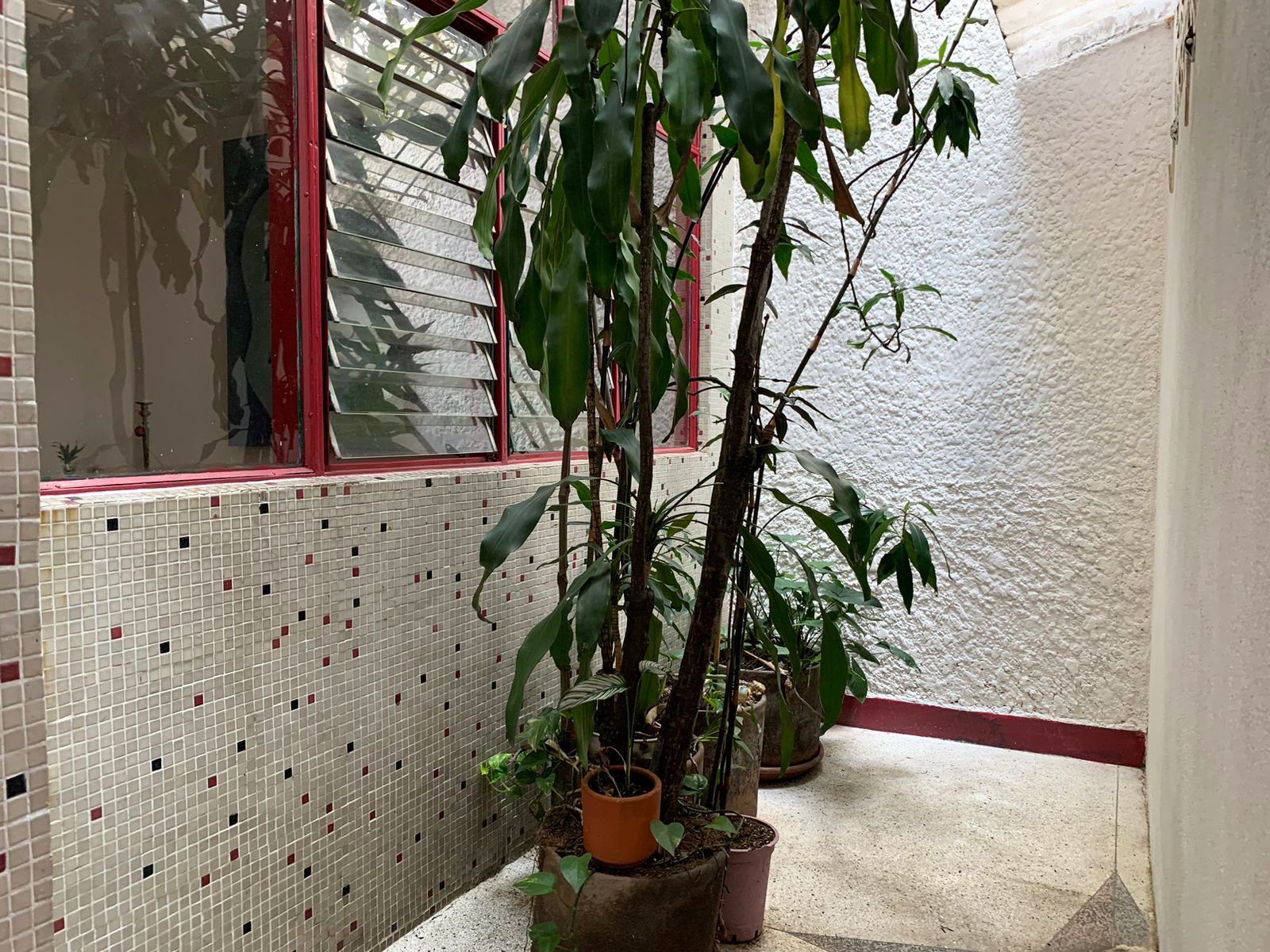 Local en arriendo en Manila, Medellín, 175 m² · foto 10 de 12