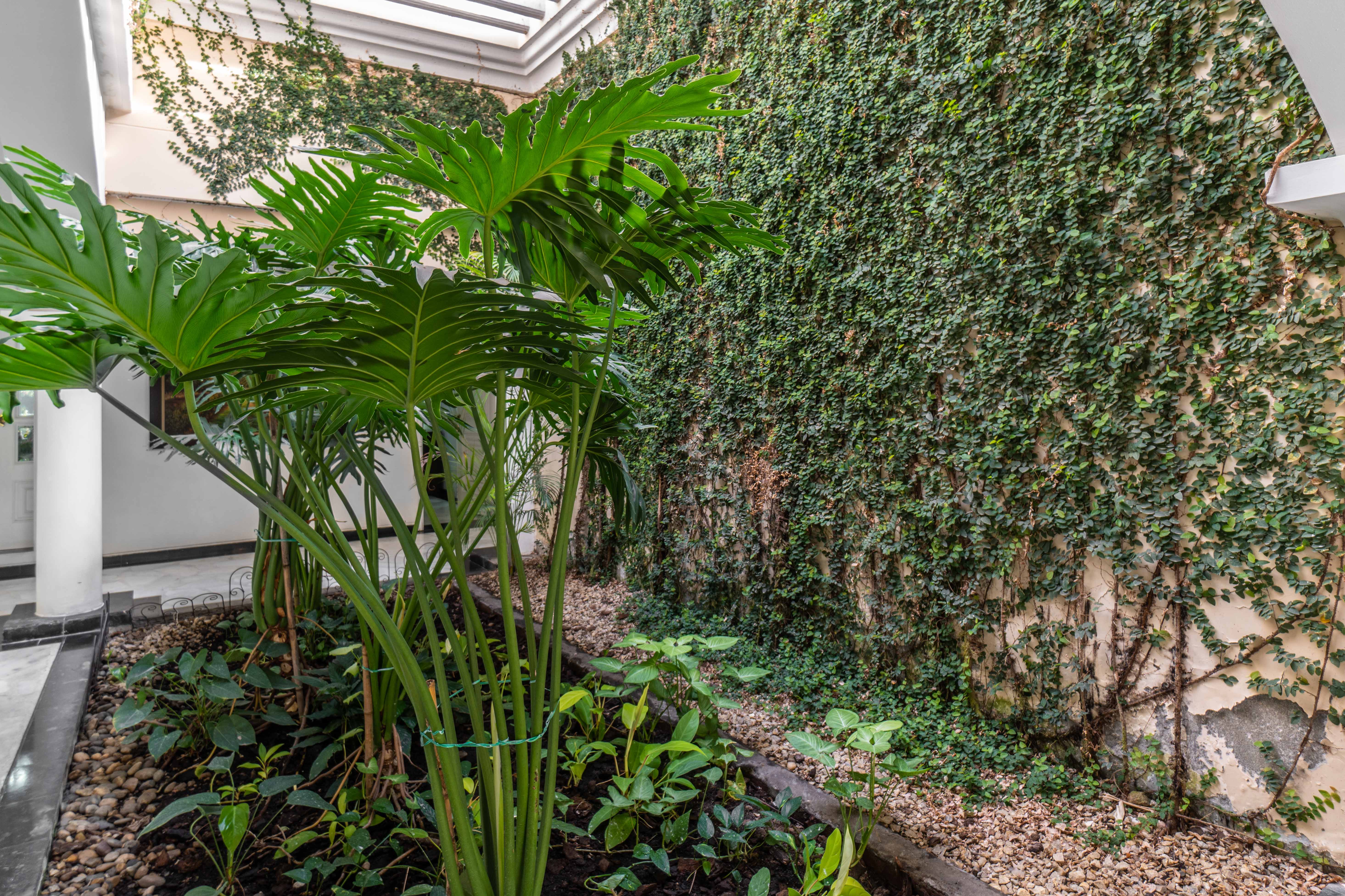 Casa de 5 alcobas en venta en La Buitrera, Cali, 600 m² · foto 13 de 19