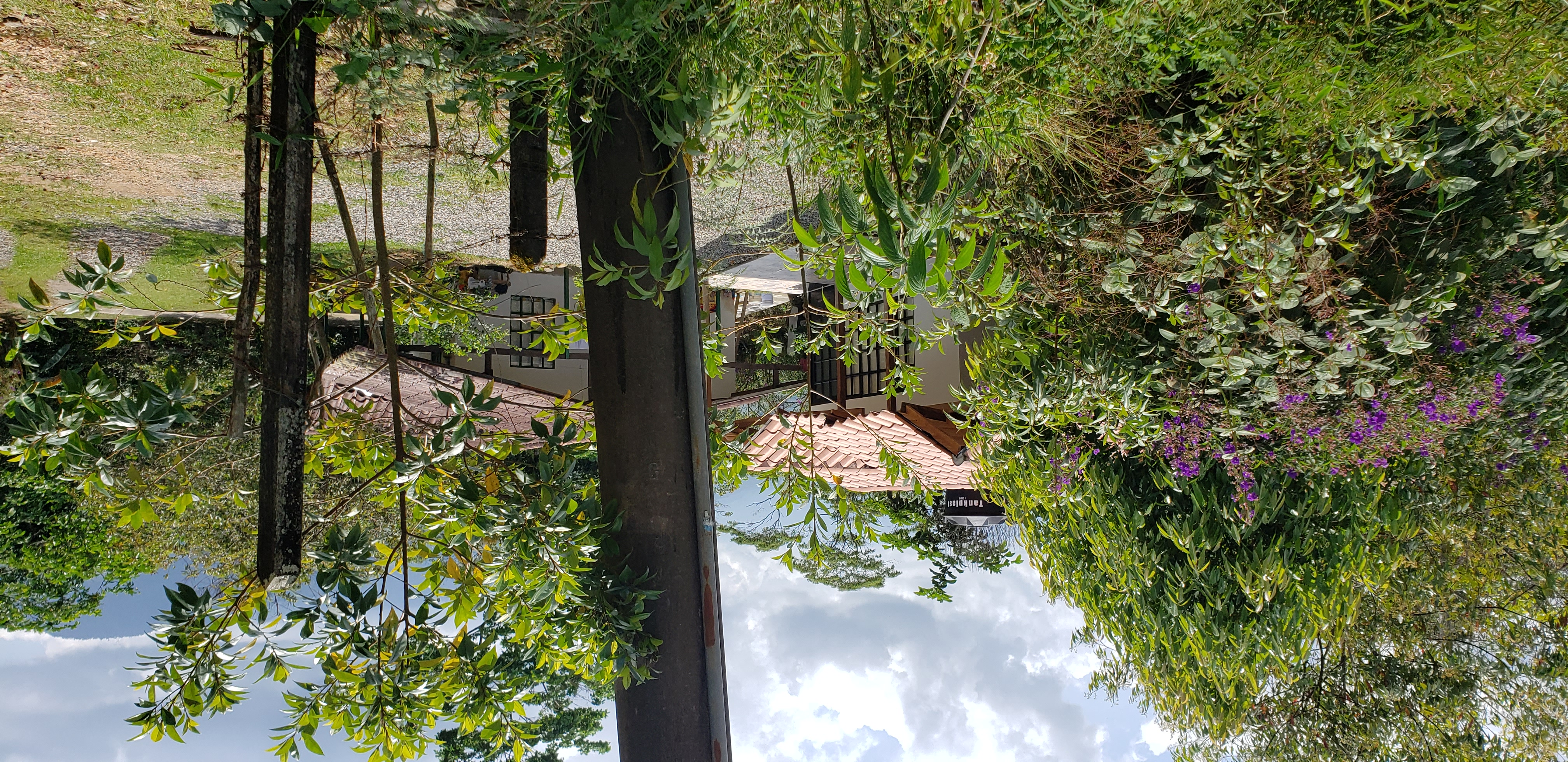 Lote en venta en Buena Vista, Villavicencio · foto 9 de 18