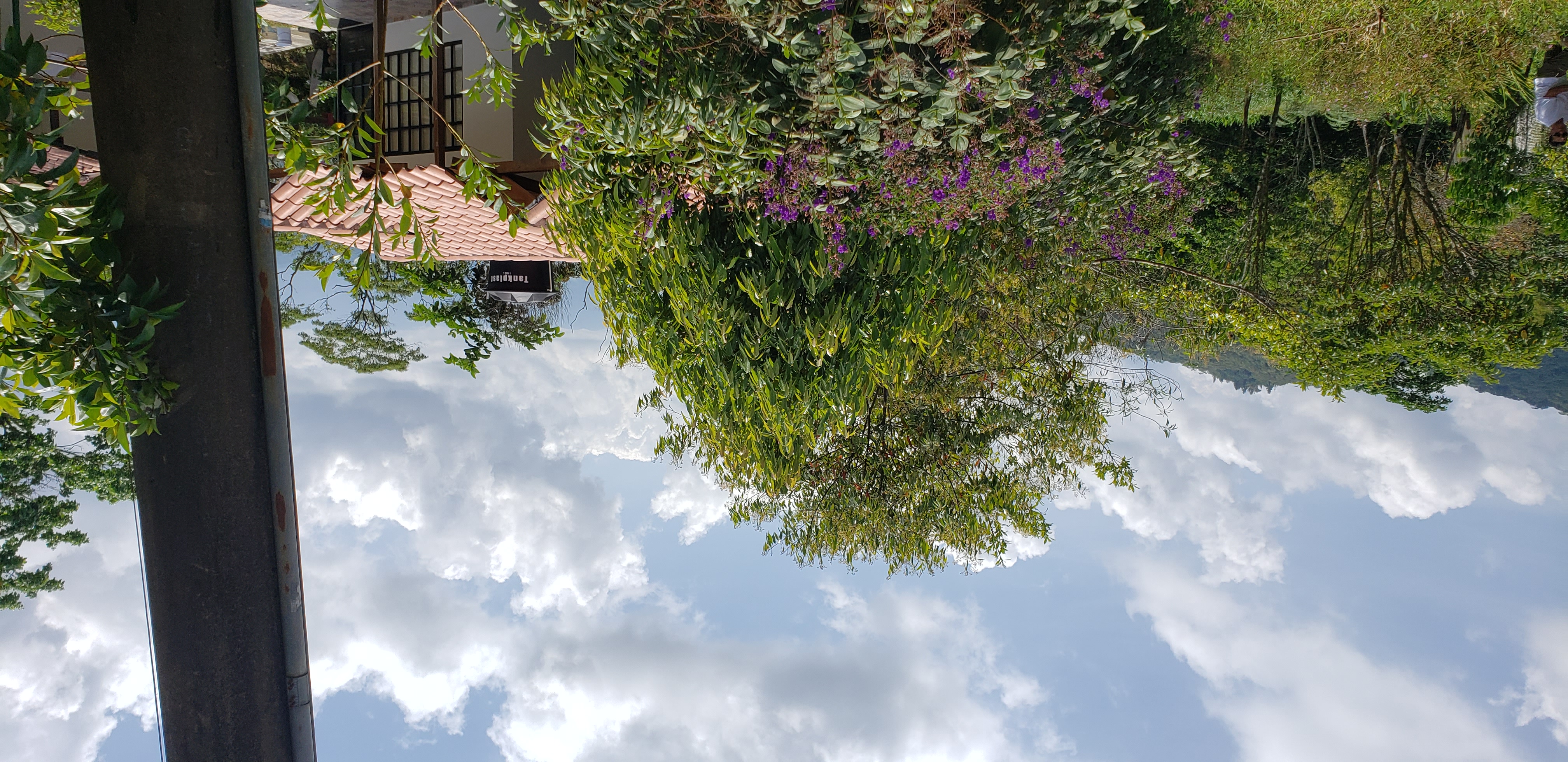 Lote en venta en Buena Vista, Villavicencio · foto 6 de 18