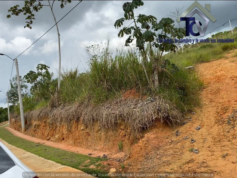 Lote en venta en Ruitoque Bajo, Floridablanca · foto 6 de 17
