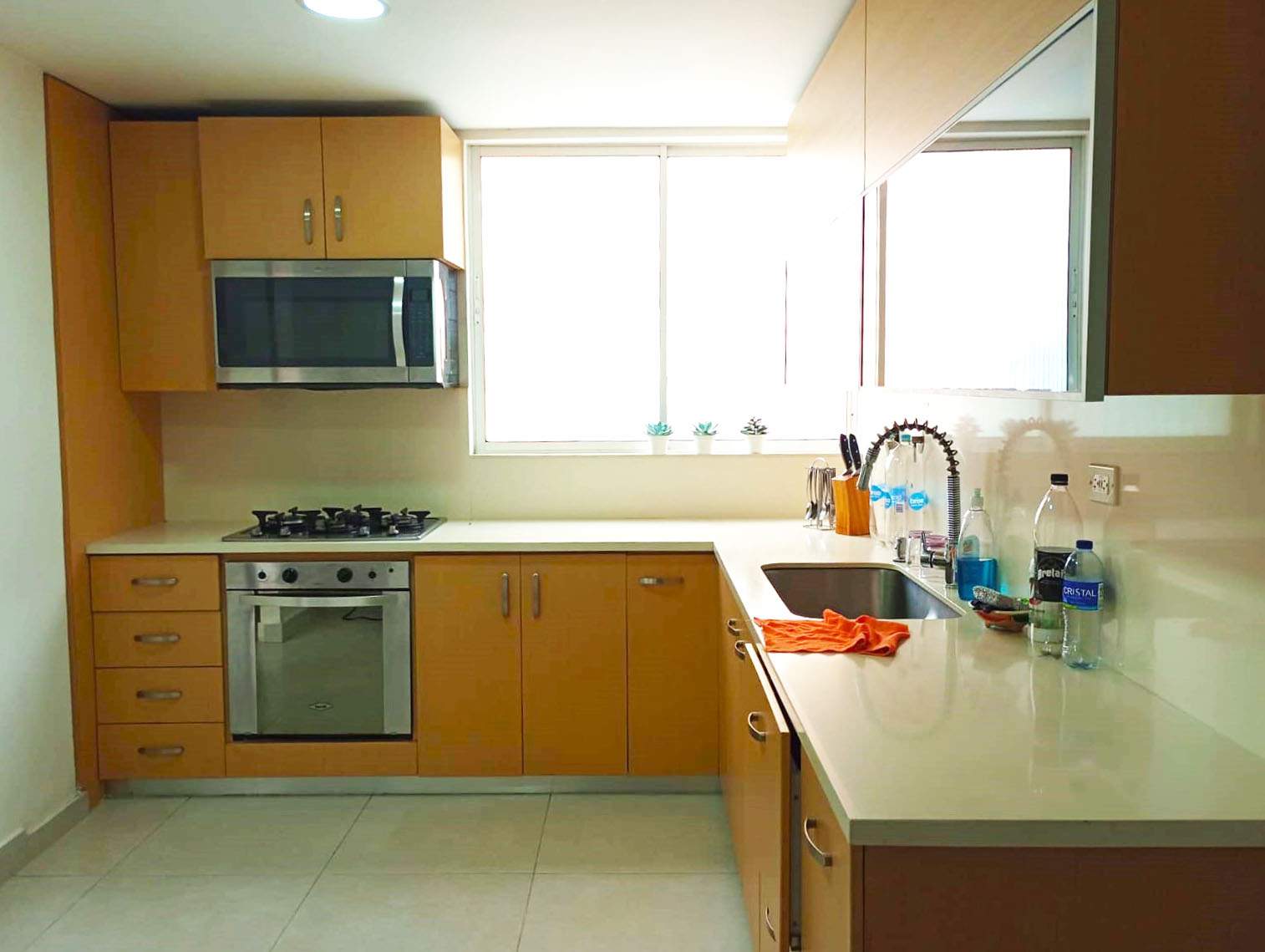 Apartamento en arriendo en Los Balsos No.2, Medellín · foto 5 de 18