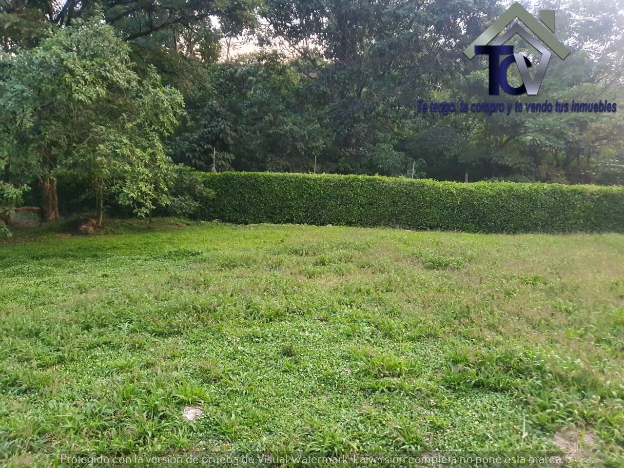 Lote en venta en Menzuly, Floridablanca, 1024 m² · foto 5 de 13