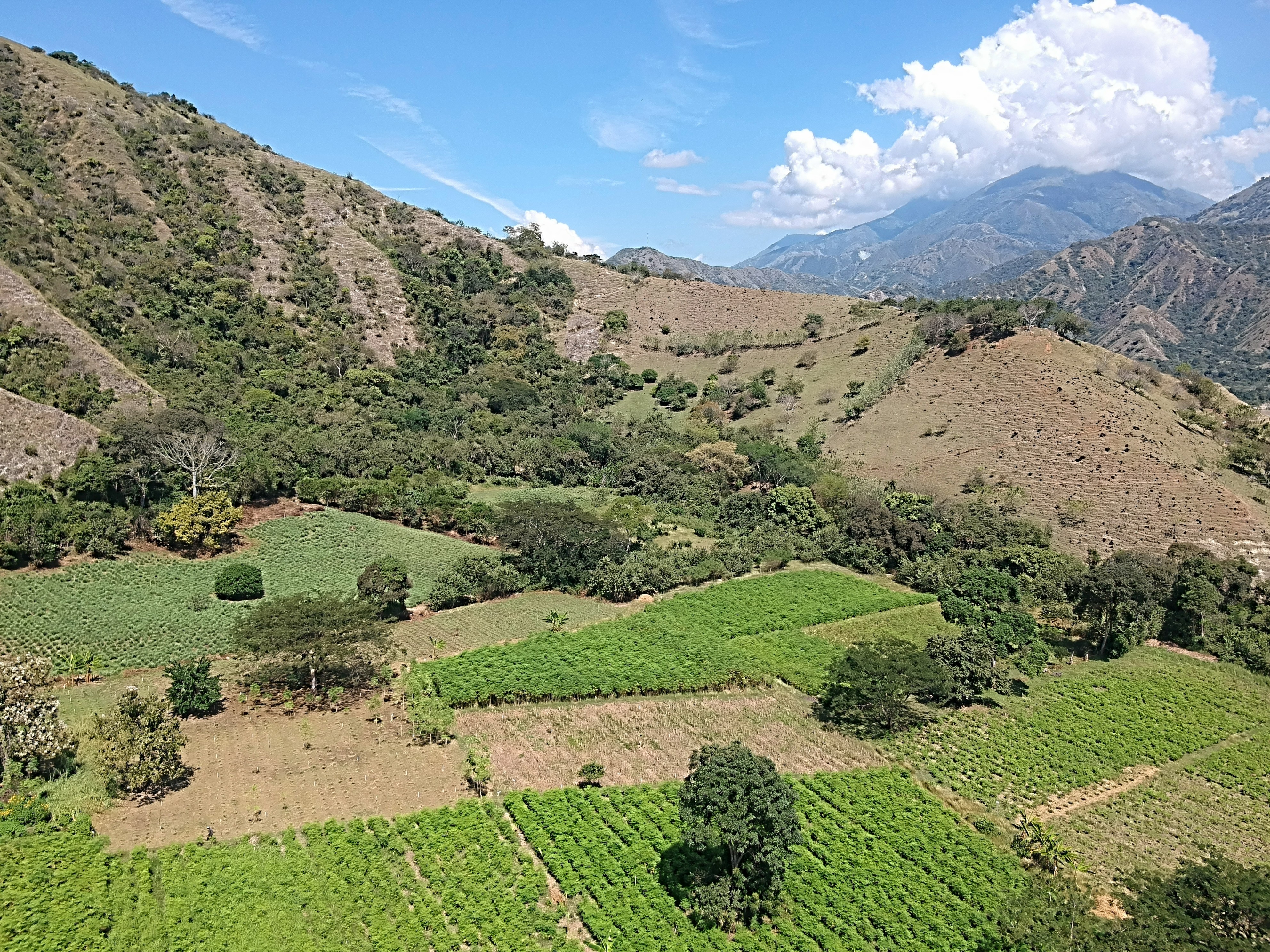 Country House in Paso real for Sale - 4