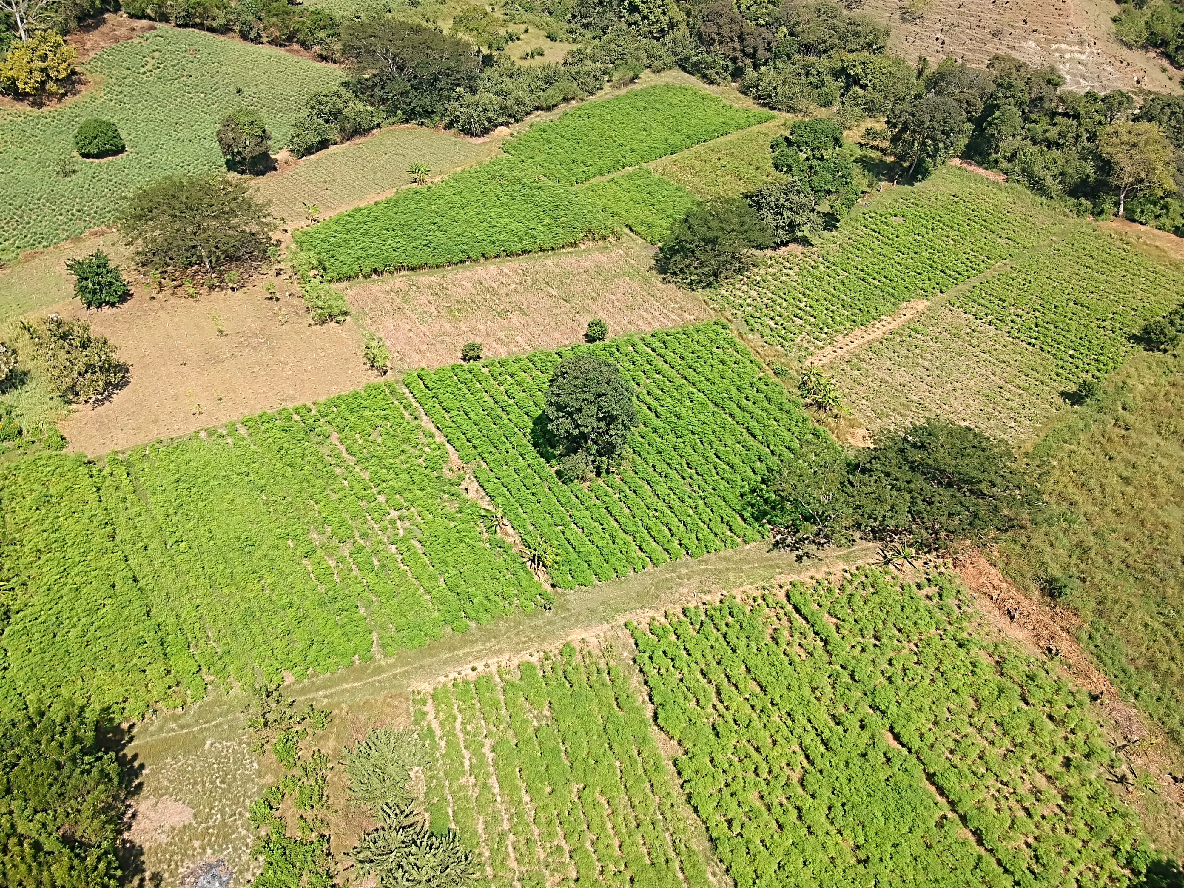 Country House in Paso real for Sale