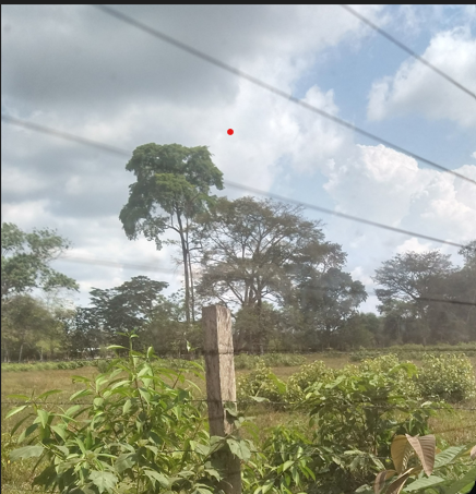 Lote en venta en Apiay, Villavicencio, 90456 m² · foto 4 de 5