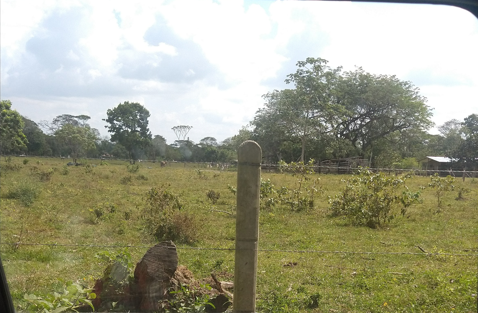 Lote en venta en Apiay, Villavicencio, 90456 m² · foto 5 de 5