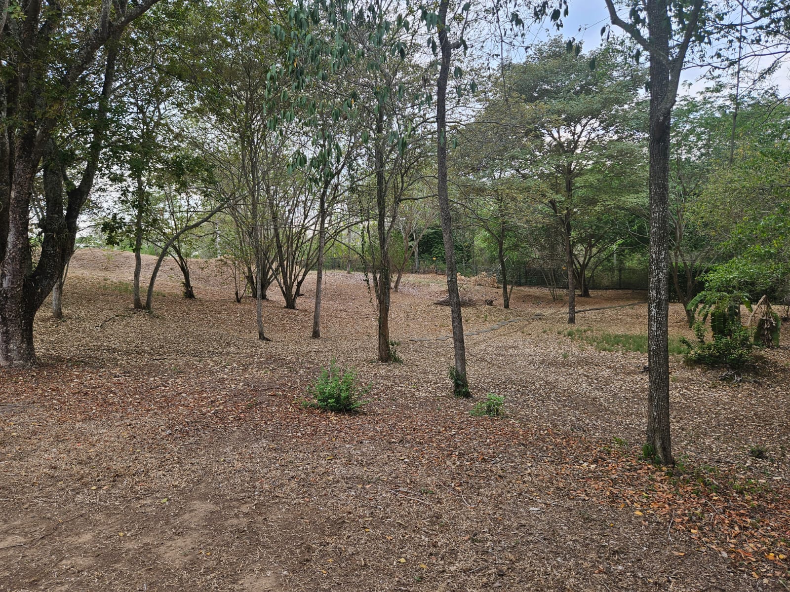 Lote en venta en Bosques De Peñalisa, Ricaurte, 874 m² · foto 11 de 12
