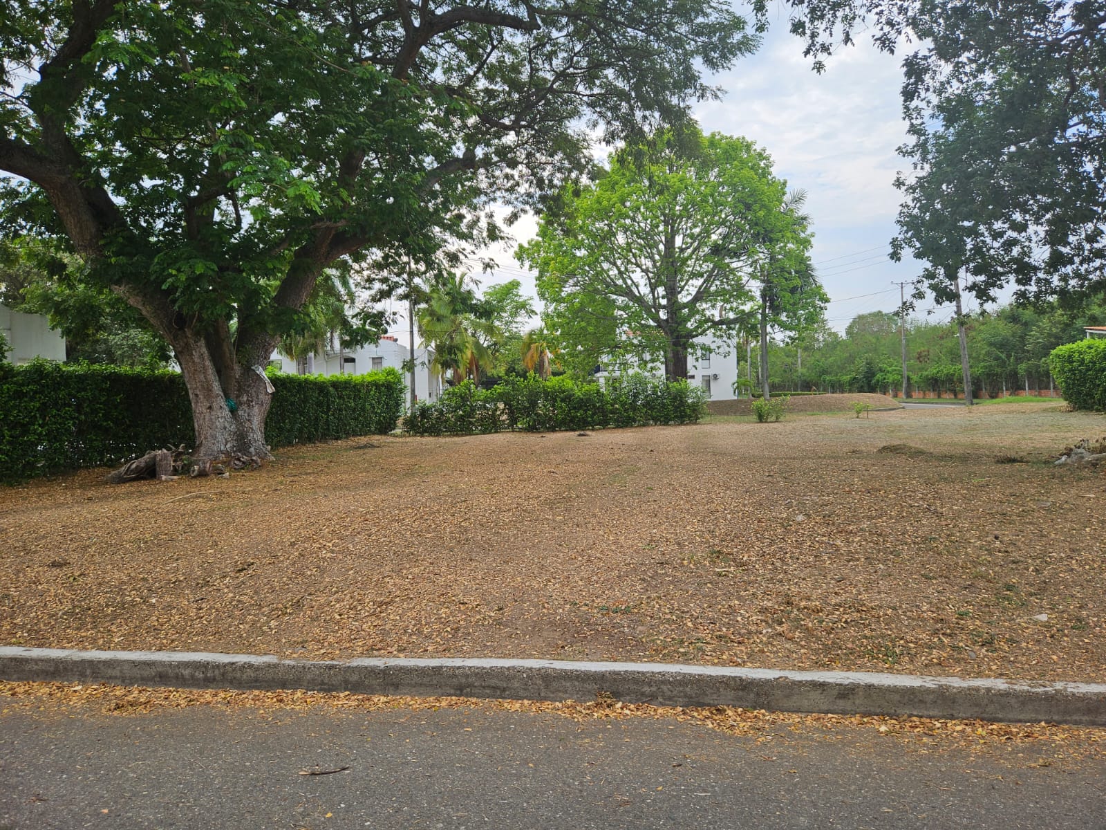 Lote en venta en Bosques De Peñalisa, Ricaurte, 874 m² · foto 2 de 12