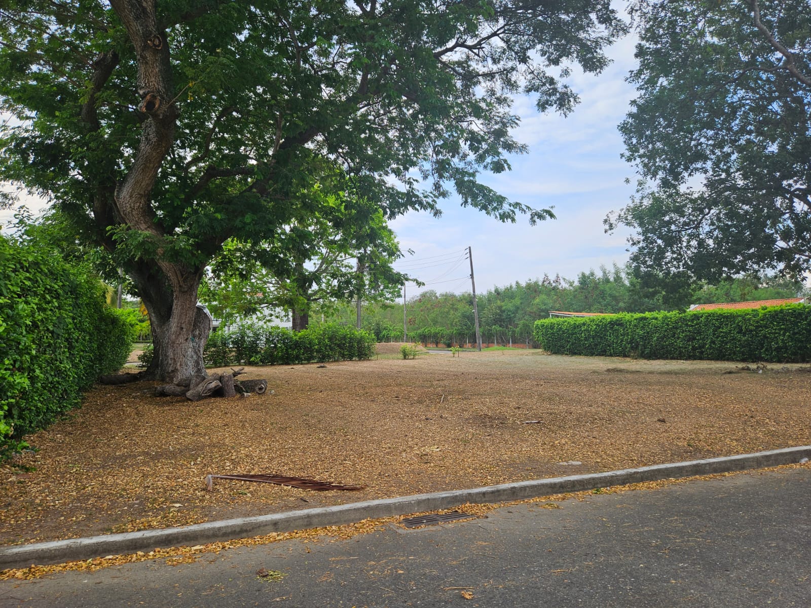 Lote en venta en Bosques De Peñalisa, Ricaurte, 874 m² · foto 4 de 12