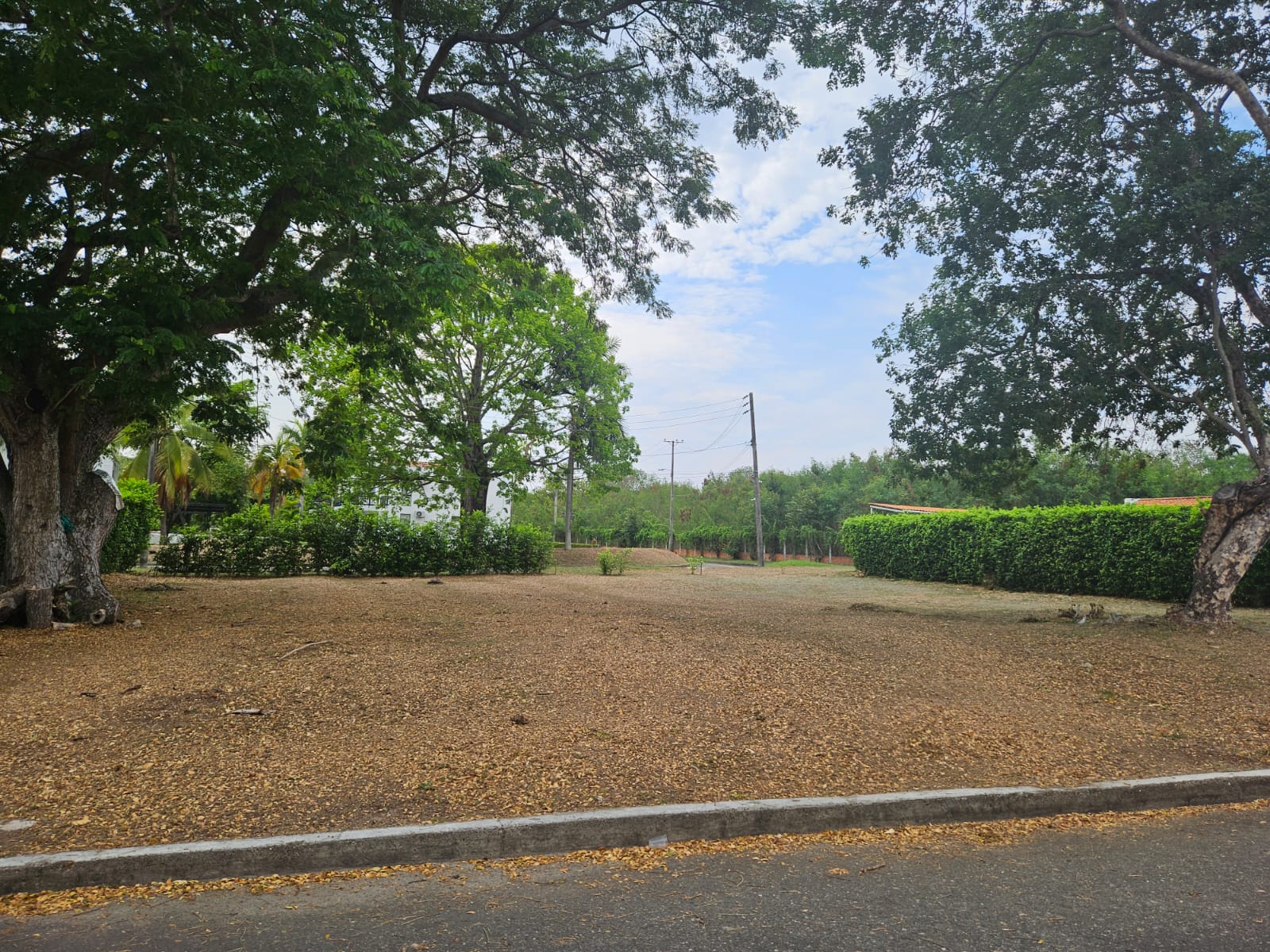 Lote en venta en Bosques De Peñalisa, Ricaurte, 874 m² · foto 7 de 12