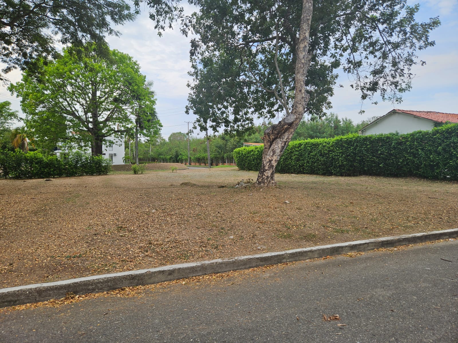 Lote en venta en Bosques De Peñalisa, Ricaurte, 874 m² · foto 8 de 12