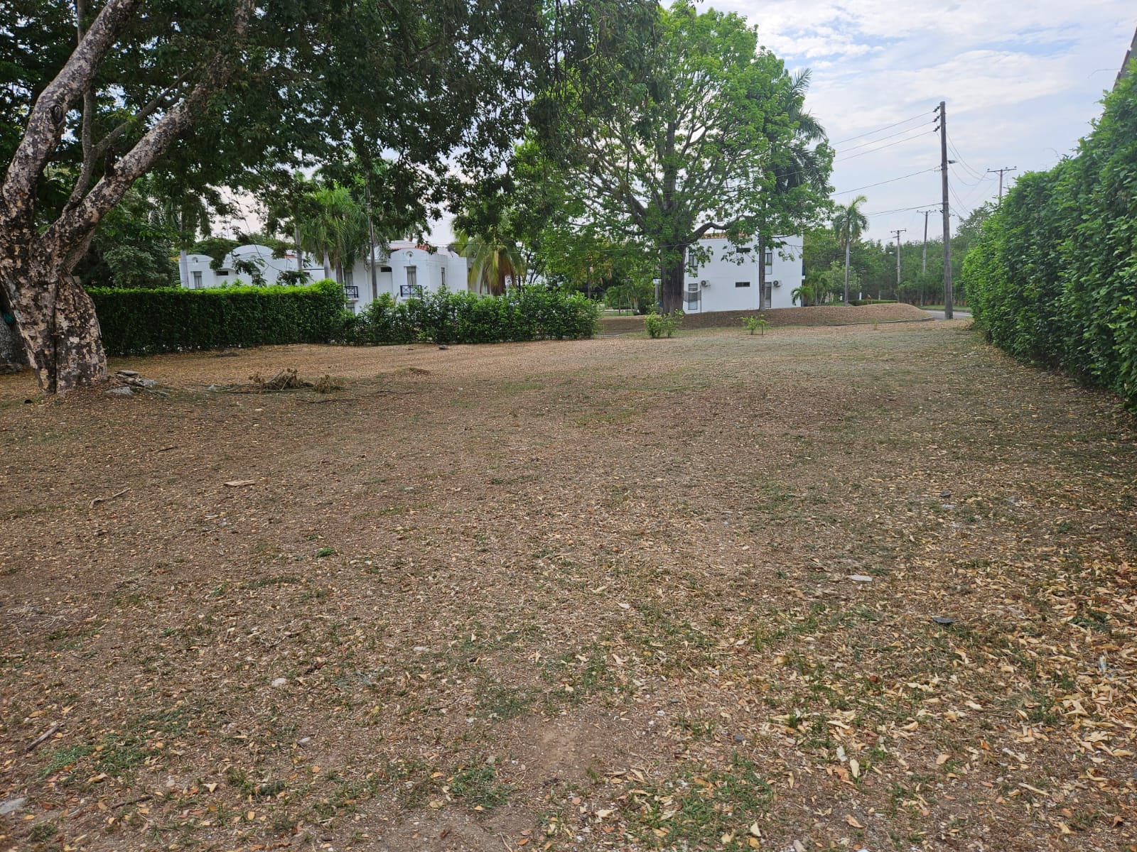 Lote en venta en Bosques De Peñalisa, Ricaurte, 874 m² · foto 9 de 12