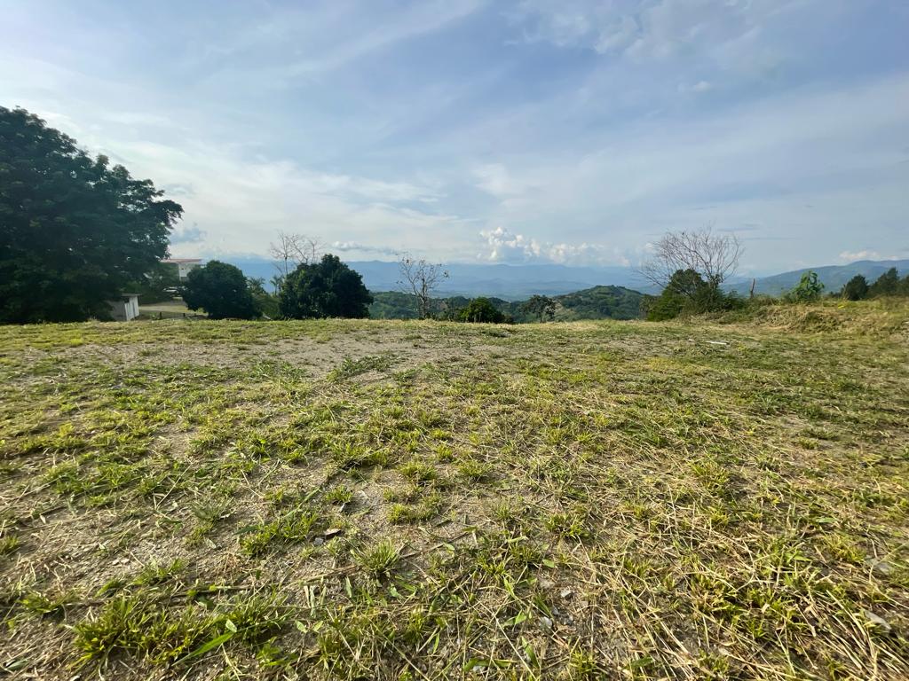 Lote en venta en La Cabaña, Manizales, 2000 m² · foto 2 de 24