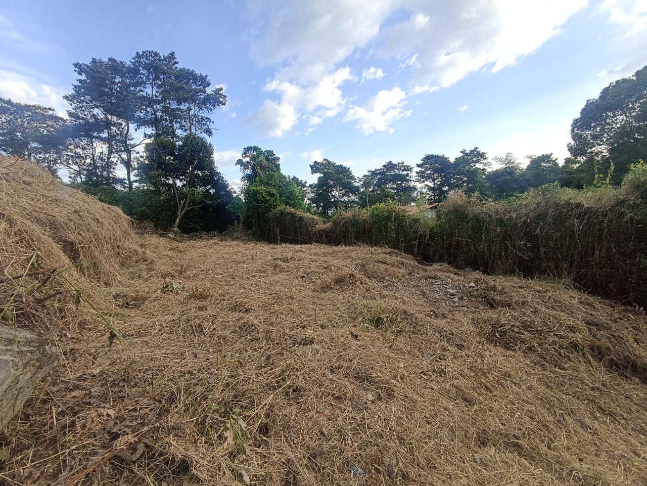 Lote en venta en Romelia Alta, Dosquebradas, 500 m² · foto 3 de 6